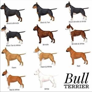 Meet your Posher, Leonardo